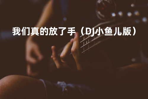 我们真的放了手(DJ小鱼儿版)