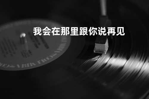 我会在那里跟你说再见