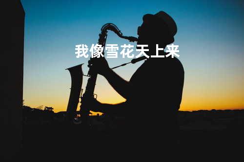 我像雪花天上来