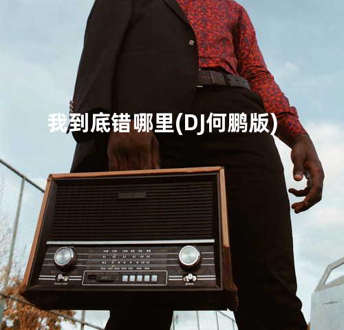 我到底错哪里 (DJ何鹏版)