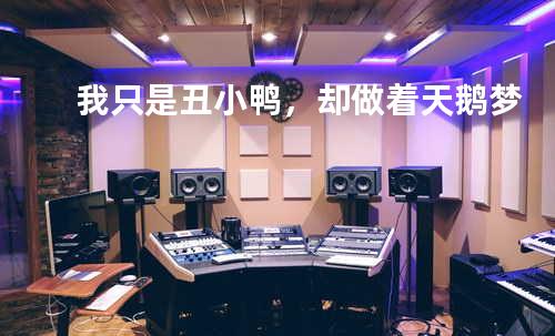 我只是丑小鸭,却做着天鹅梦