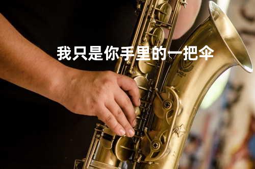 我只是你手里的一把伞
