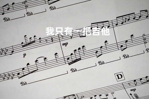 我只有一把吉他