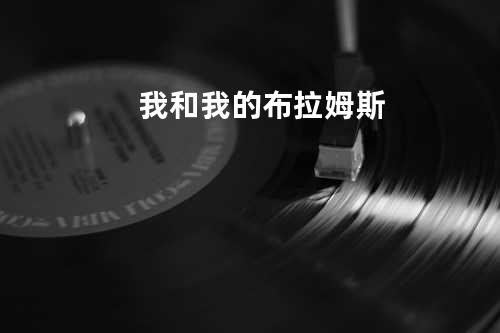 我和我的布拉姆斯