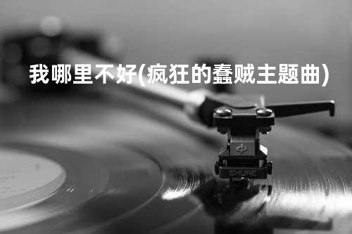 我哪里不好(疯狂的蠢贼主题曲)