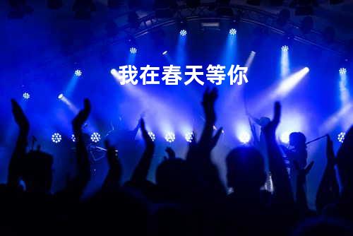 我在春天等你
