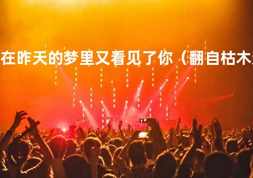 我在昨天的梦里又看见了你(翻自 枯木逢春)
