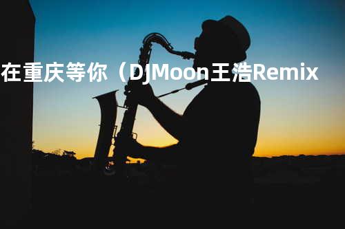 我在重庆等你(DJ-Moon王浩 Remix)