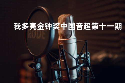 我 多亮 金钟奖中国音超第十一期
