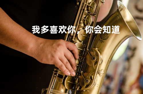 我多喜欢你,你会知道
