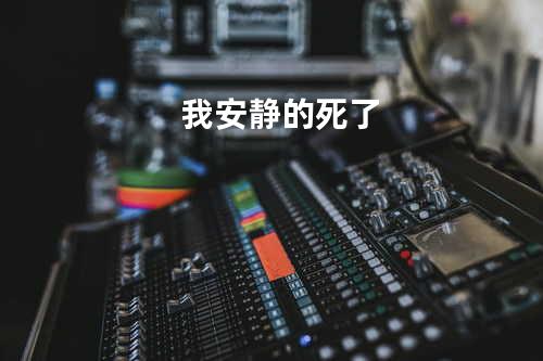 我安静的死了