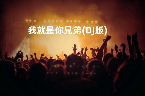 我就是你兄弟(DJ版)