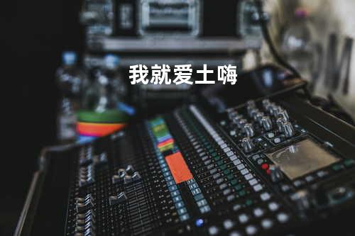 我就爱土嗨