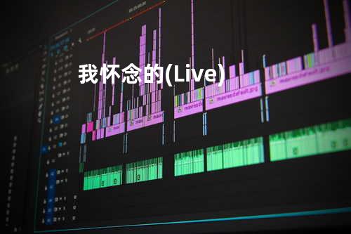 我怀念的(Live)