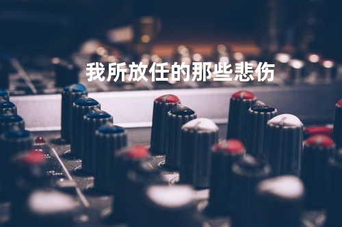 我所放任的那些悲伤