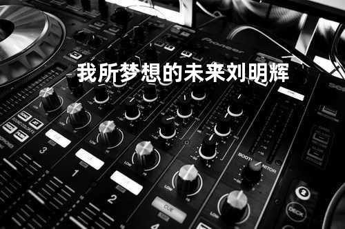 我所梦想的未来 刘明辉