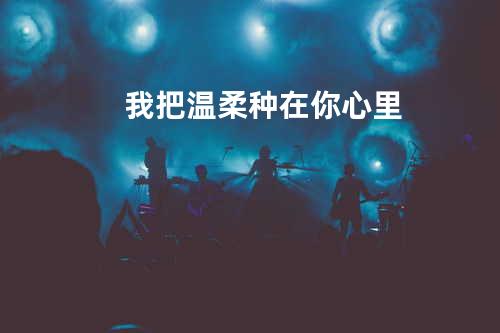 我把温柔种在你心里