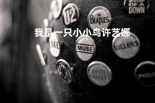 我是一只小小鸟 许艺娜