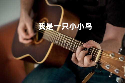 我是一只小小鸟