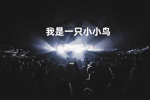 我是一只小小鸟