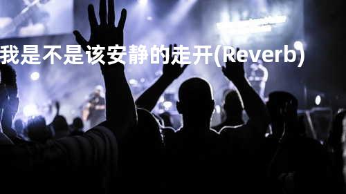 我是不是该安静的走开 (Reverb)
