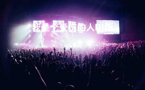 我是个受伤的人 DJ版