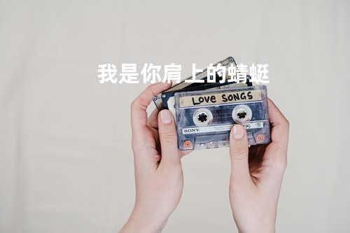 我是你肩上的蜻蜓