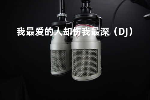 我最爱的人却伤我最深(DJ)