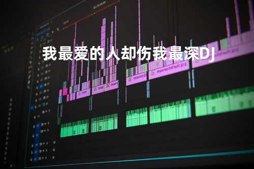 我最爱的人却伤我最深DJ