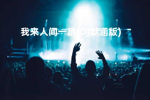 我来人间一趟(DJ默涵版)