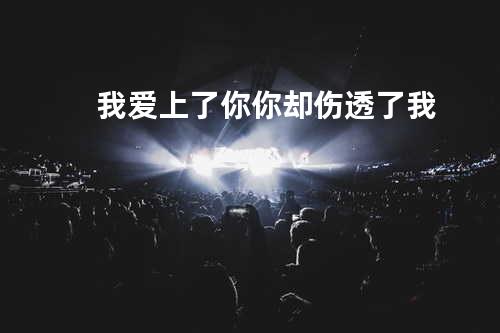 我爱上了你你却伤透了我
