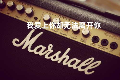 我爱上你却无法离开你