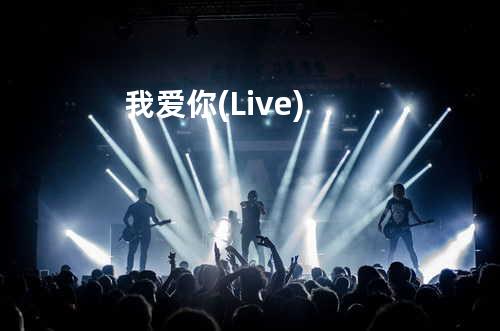 我爱你(Live)