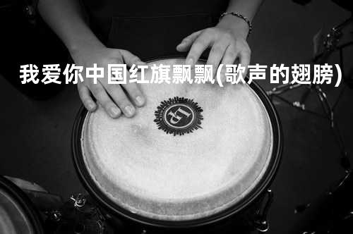 我爱你中国 + 红旗飘飘(歌声的翅膀)
