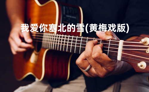 我爱你塞北的雪(黄梅戏版)