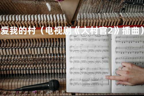 我爱我的村(电视剧《大村官2》插曲)- 刘笑歌