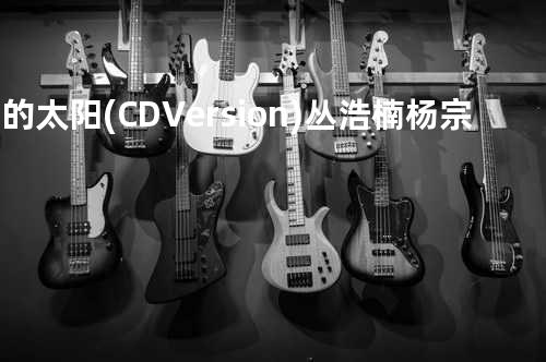 我的太阳(CD Version) - 丛浩楠&杨宗纬