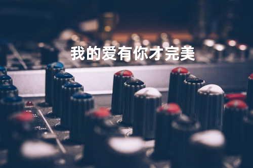 我的爱有你才完美