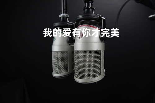 我的爱有你才完美