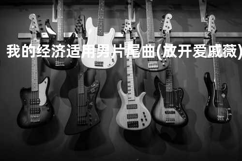 我的经济适用男片尾曲(放开爱 - 戚薇)