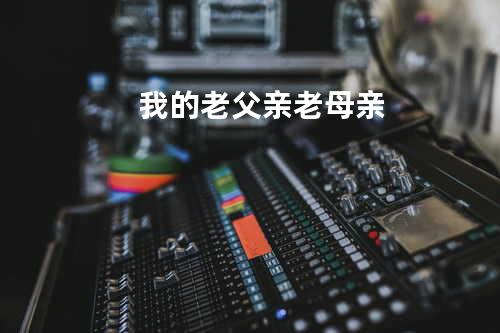 我的老父亲老母亲