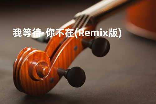 我等待·你不在 (Remix版)