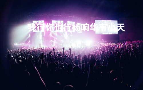 我行你也行 - 杨响华&韦小天