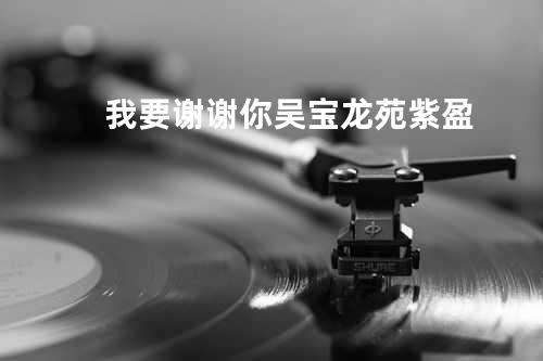 我要谢谢你 - 吴宝龙&苑紫盈