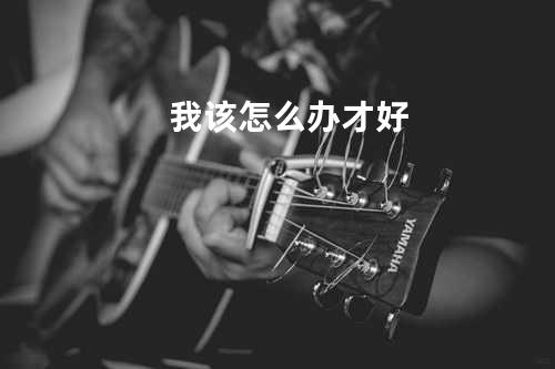 我该怎么办才好