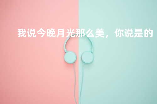 我说今晚月光那么美,你说是的