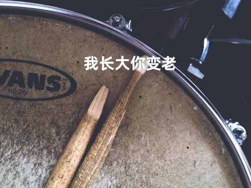 我长大你变老