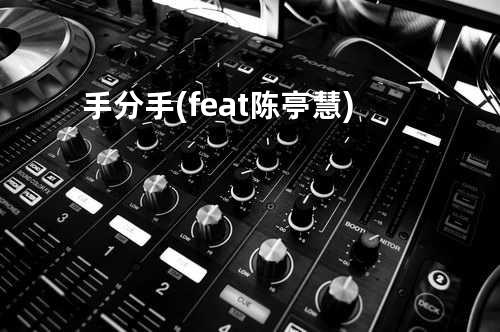 手分手 (feat.陈亭慧)