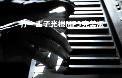 打一辈子光棍 MP3完美版