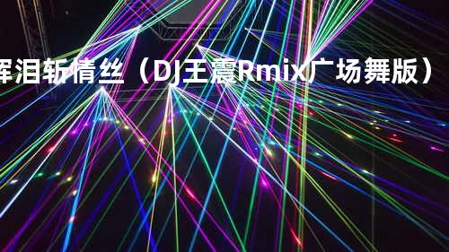 挥泪斩情丝(DJ王震Rmix 广场舞版)